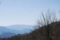 Monte cucuzzo  Aprile 2018 (15)